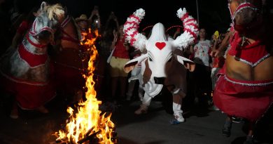 Festival de Parintins 2025: Ladainha do Boi Garantido toma as ruas de Parintins em celebração de fé e tradição Festival de Parintins 2025: Ladainha do Boi Garantido toma as ruas de Parintins em celebração de fé e tradição