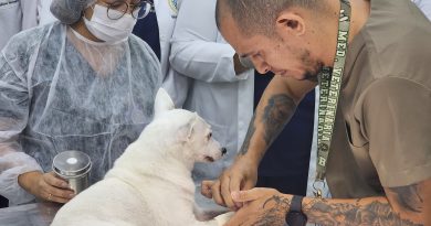 Campanha alerta para prevenção de doenças em pets
