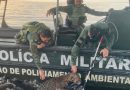 Polícia Militar do Amazonas resgata onça ferida por disparos de arma de fogo no Rio Negro