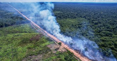 BR-319: pavimentação ameaça meta de desmatamento zero do Brasil às vésperas da COP30