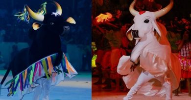 Ministério Público pede suspensão da venda de ingressos do Festival de Parintins 2026 por aumento abusivo